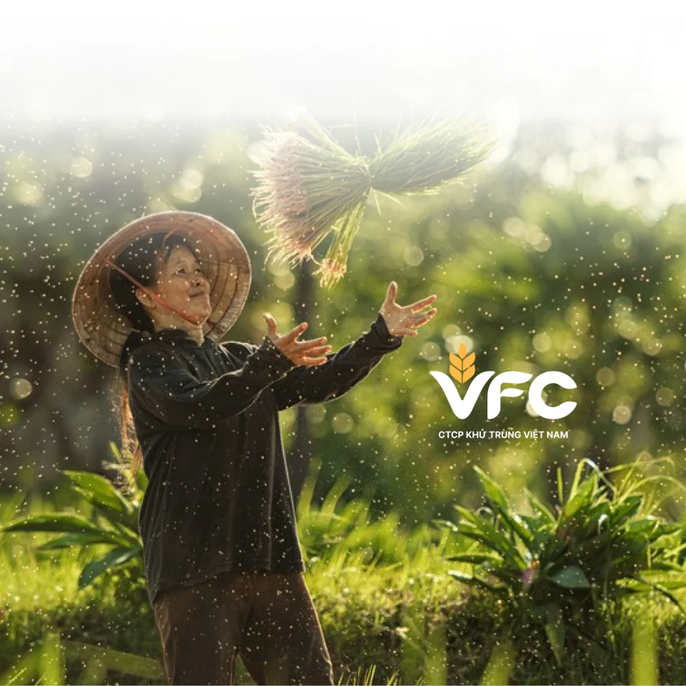 VFC - Website / UI & UX